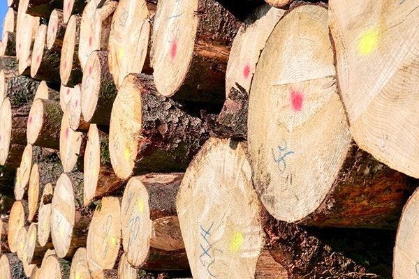 木材强度分级方法对比：视觉观察法与设备检测法